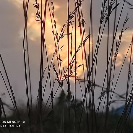 Le Gite D'Olympe Cordes-sur-Ciel Bagian luar foto